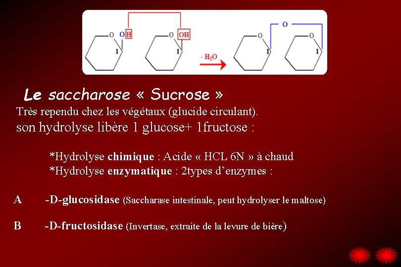 Le saccharose « Sucrose » Très rependu chez les végétaux (glucide circulant). son hydrolyse