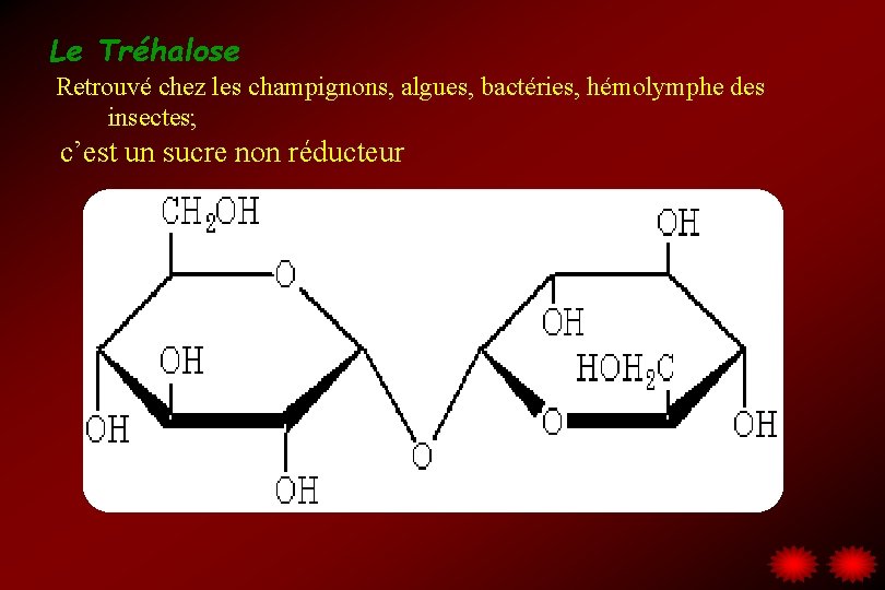 Le Tréhalose Retrouvé chez les champignons, algues, bactéries, hémolymphe des insectes; c’est un sucre