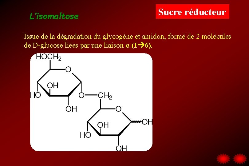 L’isomaltose Sucre réducteur Issue de la dégradation du glycogène et amidon, formé de 2