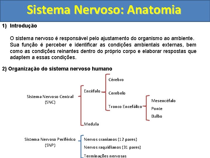 Sistema Nervoso: Anatomia 1) Introdução O sistema nervoso é responsável pelo ajustamento do organismo