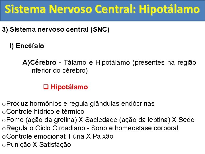 Sistema Nervoso Central: Hipotálamo 3) Sistema nervoso central (SNC) I) Encéfalo A) Cérebro -