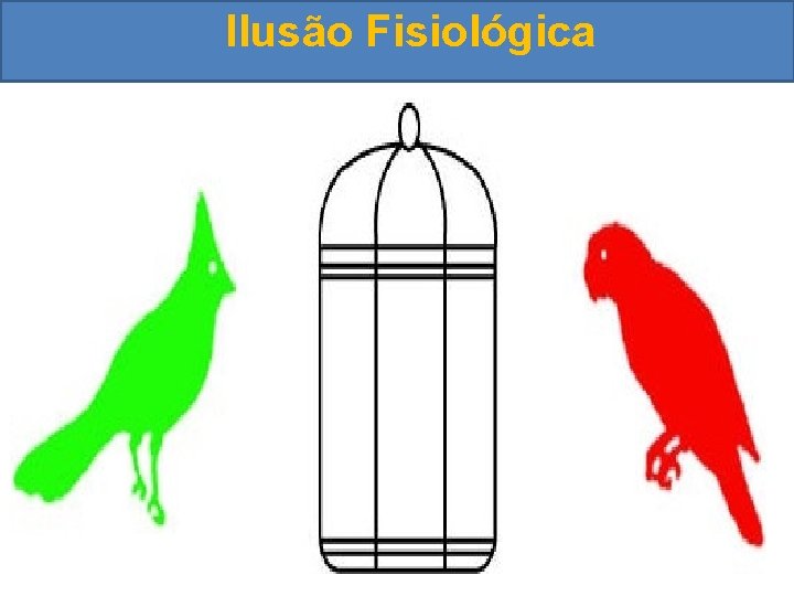 Ilusão Fisiológica 