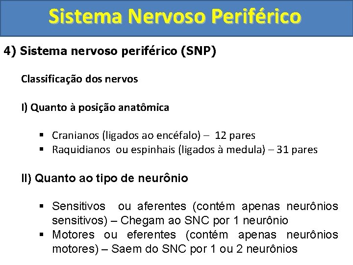 Sistema Nervoso Periférico 4) Sistema nervoso periférico (SNP) Classificação dos nervos I) Quanto à