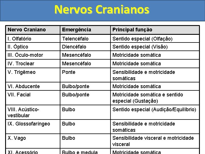 Nervos Cranianos Nervo Craniano Emergência Principal função I. Olfatório Telencéfalo Sentido especial (Olfação) II.