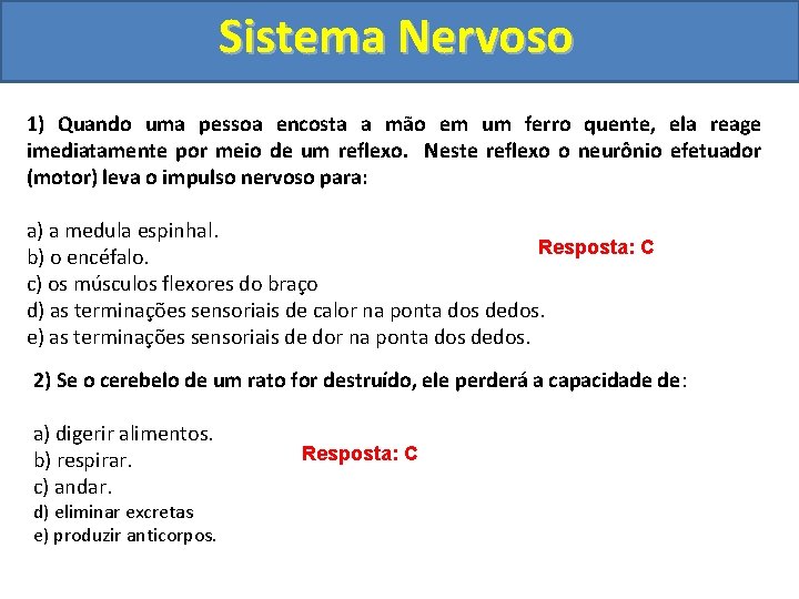 Sistema Nervoso 1) Quando uma pessoa encosta a mão em um ferro quente, ela