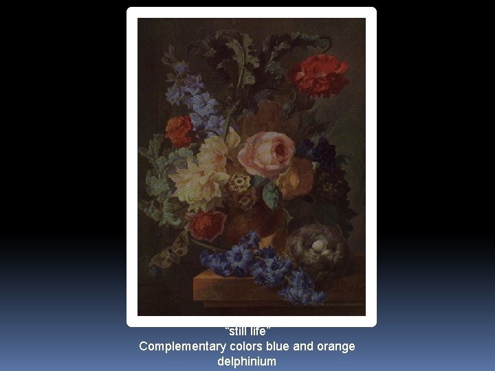 “still life” Complementary colors blue and orange delphinium 