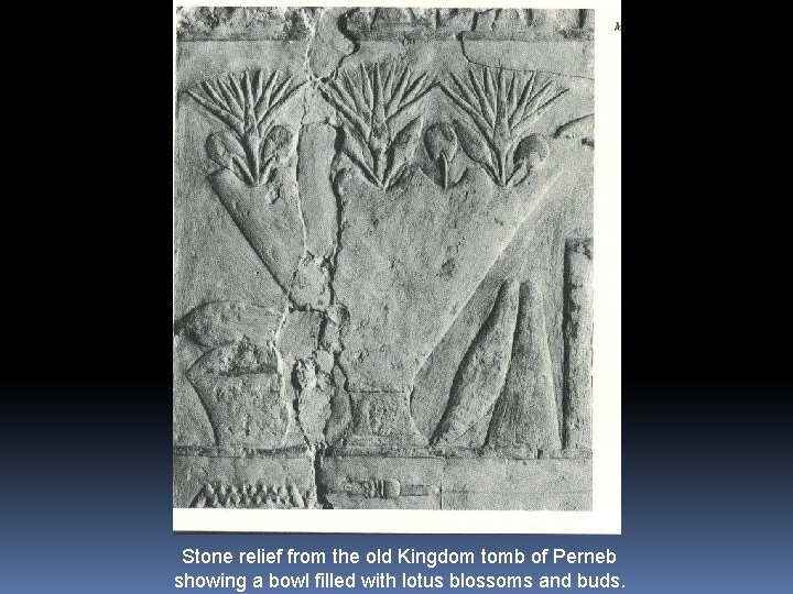 Stone relief from the old Kingdom tomb of Perneb showing a bowl filled with