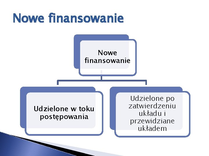 Nowe finansowanie Udzielone w toku postępowania Udzielone po zatwierdzeniu układu i przewidziane układem 