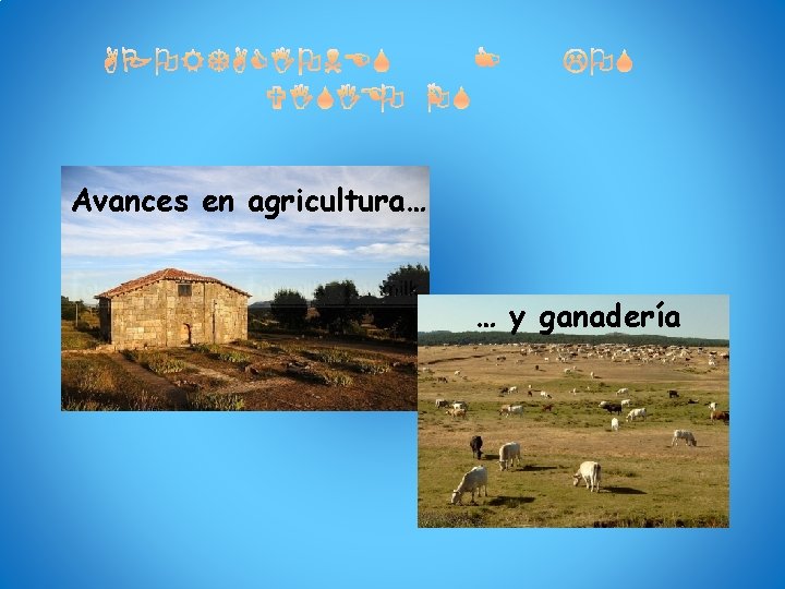 Avances en agricultura… … y ganadería 