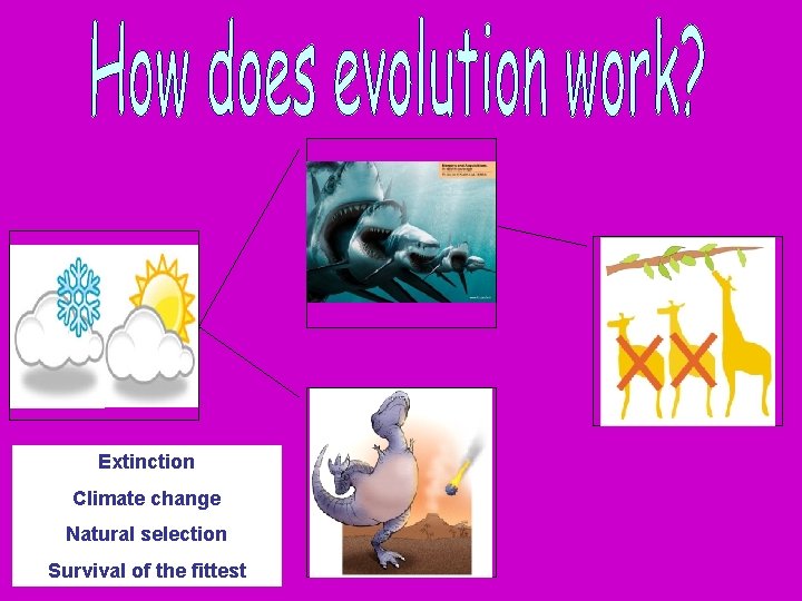 Extinction Climate change Natural selection Survival of the fittest 