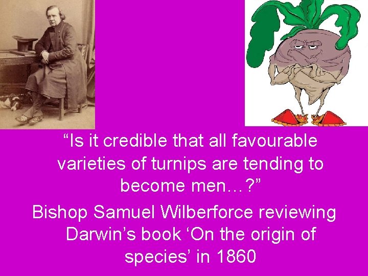 “Is it credible that all favourable varieties of turnips are tending to become men…?