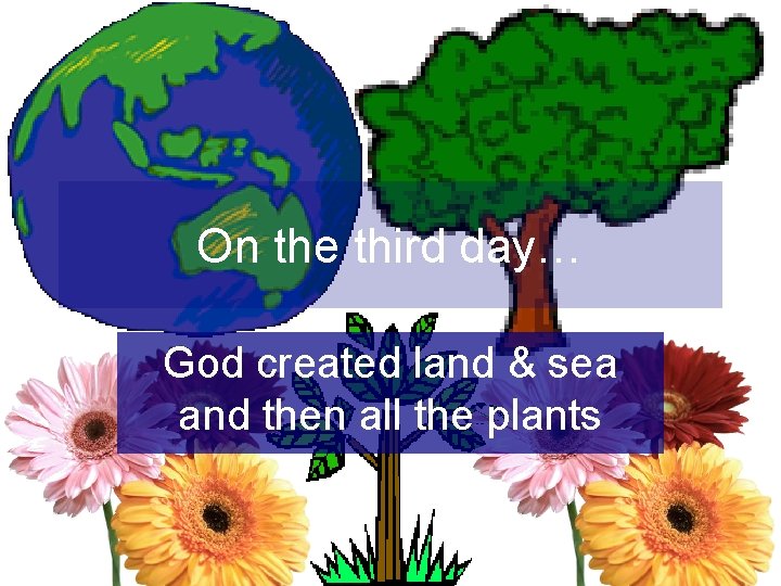 On the third day… God created land & sea and then all the plants