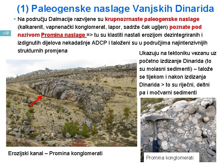 (1) Paleogenske naslage Vanjskih Dinarida p 32 § Na području Dalmacije razvijene su krupnozrnaste