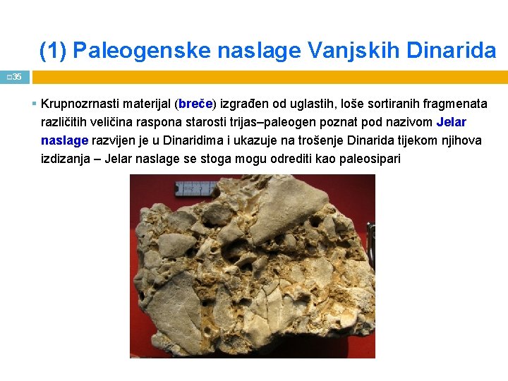 (1) Paleogenske naslage Vanjskih Dinarida p 35 § Krupnozrnasti materijal (breče) izgrađen od uglastih,