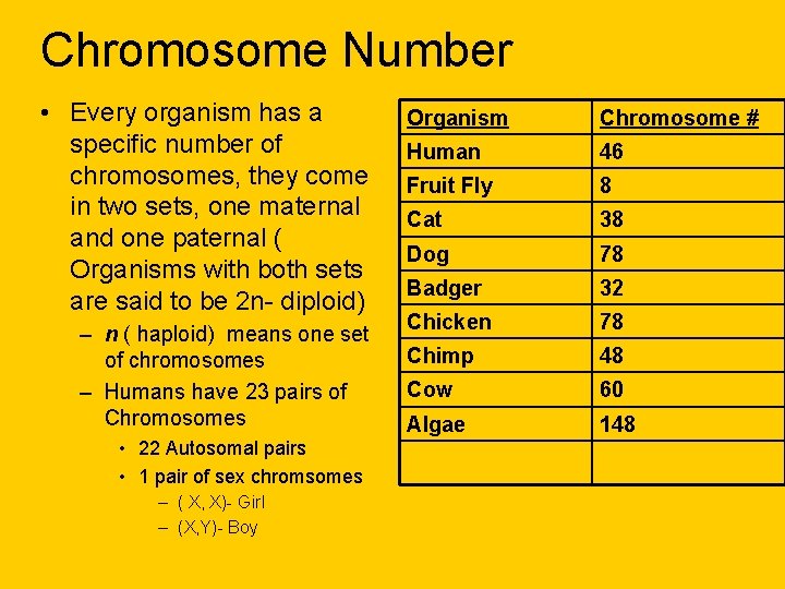 Chromosome Number • Every organism has a specific number of chromosomes, they come in Chromosome Number • Every organism has a specific number of chromosomes, they come in