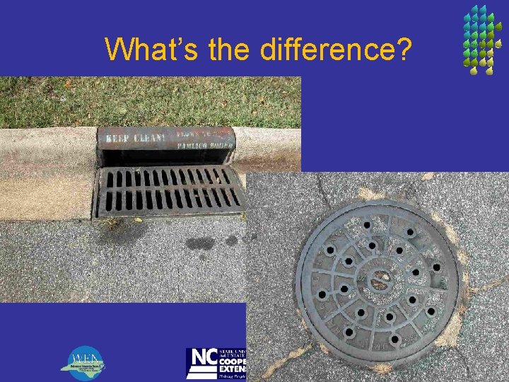 What’s the difference? 