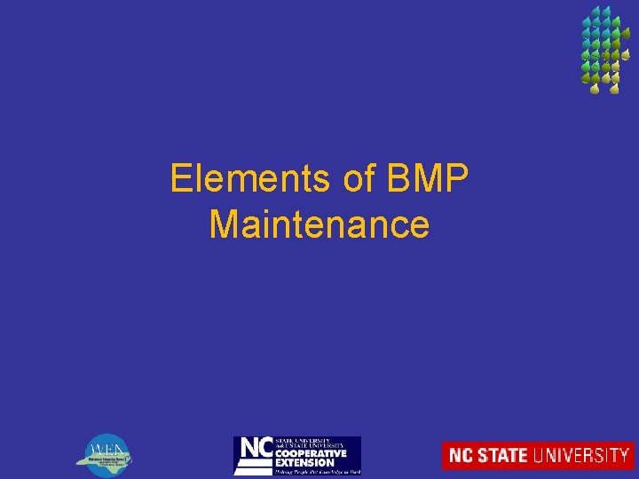 Elements of BMP Maintenance 
