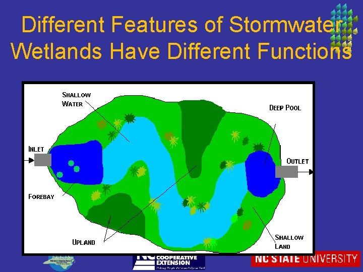 Different Features of Stormwater Wetlands Have Different Functions 
