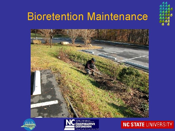 Bioretention Maintenance 