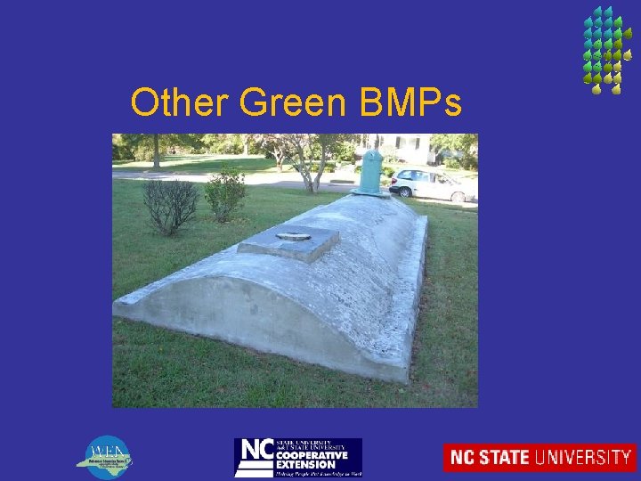Other Green BMPs 