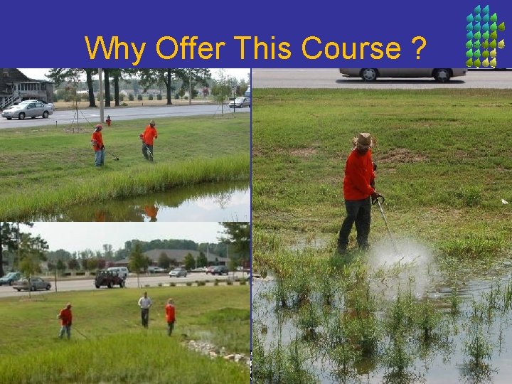 Why Offer This Course ? 