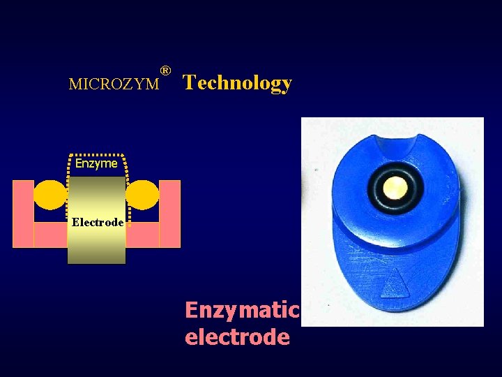 MICROZYM ® Technology Enzyme Electrode Enzymatic electrode 