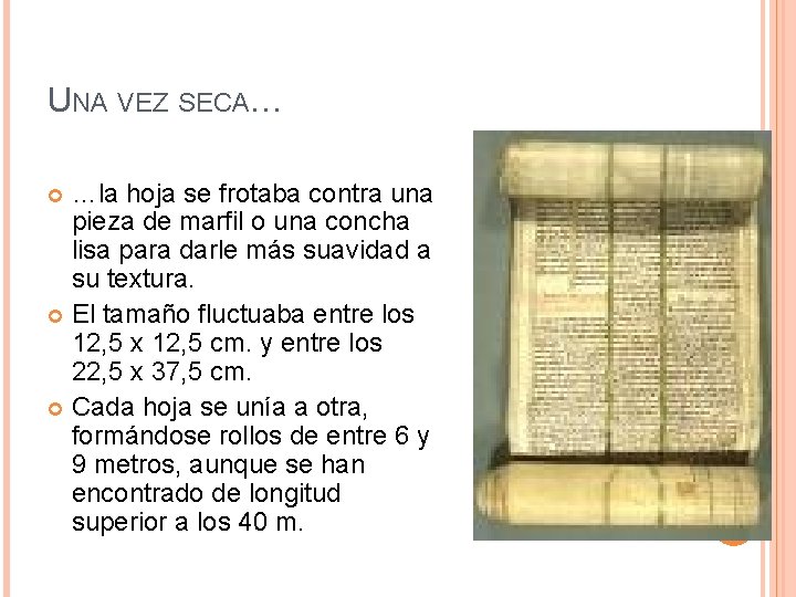 UNA VEZ SECA… …la hoja se frotaba contra una pieza de marfil o una