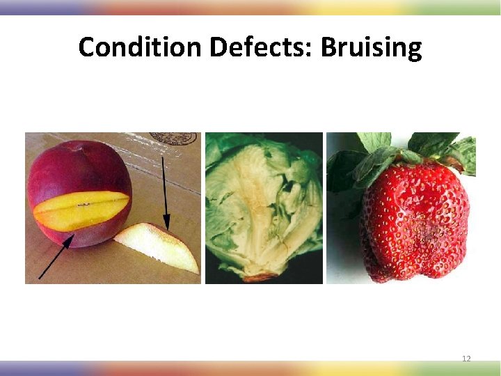 Condition Defects: Bruising 12 