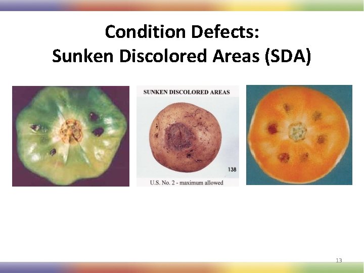 Condition Defects: Sunken Discolored Areas (SDA) 13 