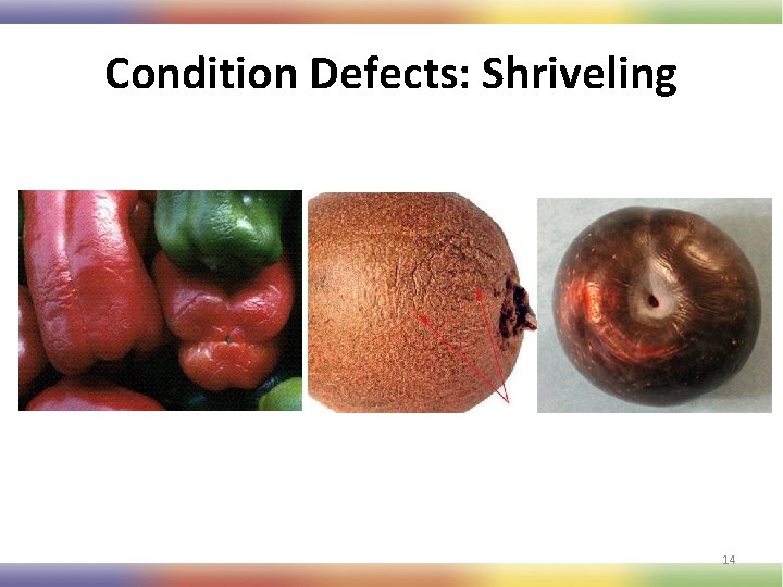 Condition Defects: Shriveling 14 