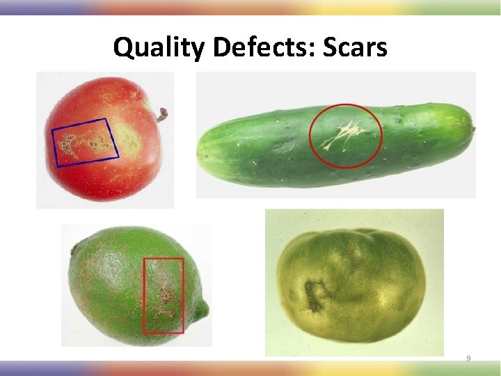 Quality Defects: Scars 9 