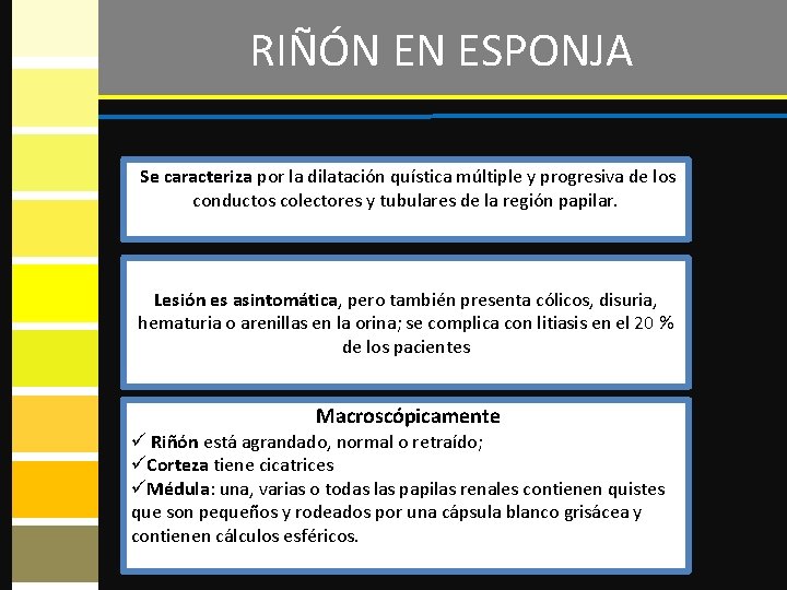 RIÑÓN EN ESPONJA Se caracteriza por la dilatación quística múltiple y progresiva de los