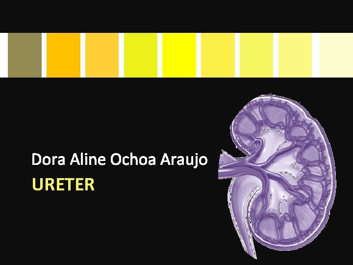 Dora Aline Ochoa Araujo URETER 