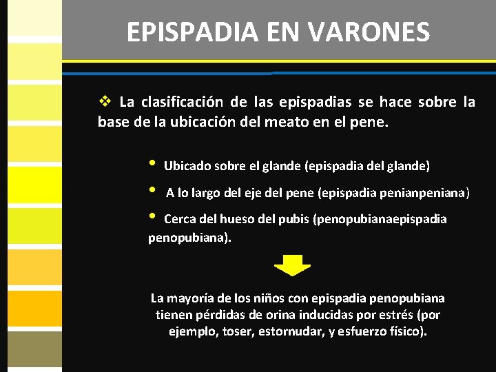 EPISPADIA EN VARONES v La clasificación de las epispadias se hace sobre la base