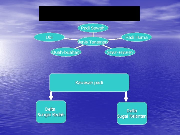 Padi Sawah Ubi Padi Huma Jenis Tanaman Buah-buahan Sayur-sayuran Kawasan padi Delta Sungai Kedah