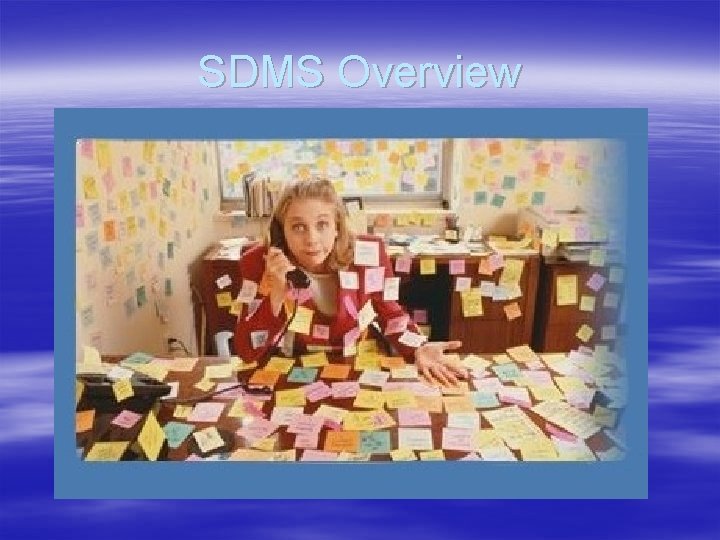 SDMS Overview 