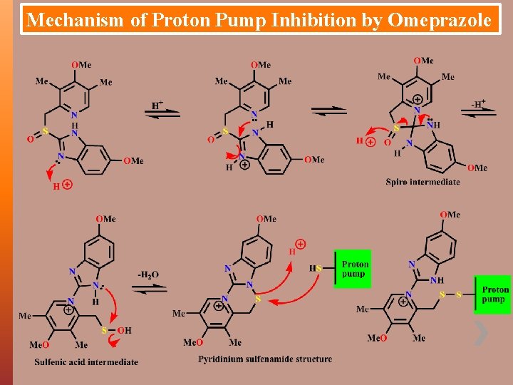 Mechanism of Proton Pump Inhibition by Omeprazole 