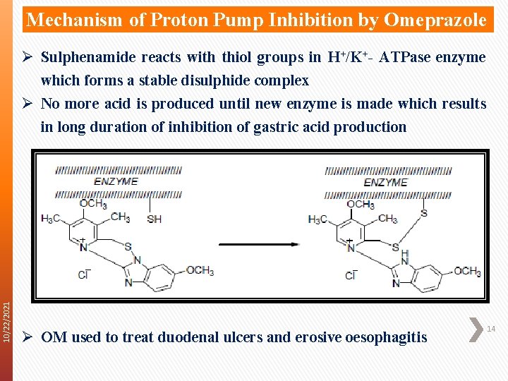 Mechanism of Proton Pump Inhibition by Omeprazole 10/22/2021 Ø Sulphenamide reacts with thiol groups