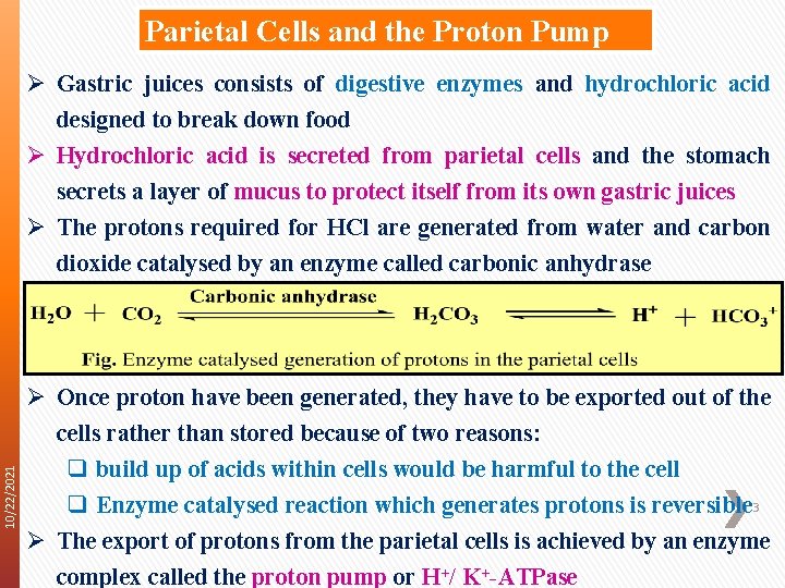 PROTON PUMP INHIBITORS Medicinal Chemistry III B Pharm