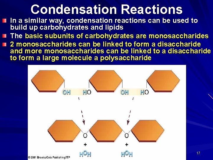 Condensation Reactions In a similar way, condensation reactions can be used to build up