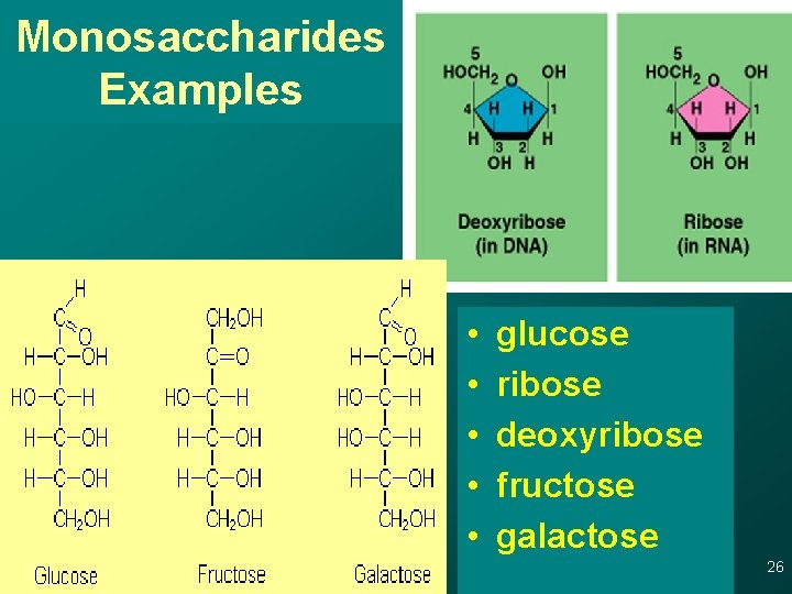 Monosaccharides Examples • • • glucose ribose deoxyribose fructose galactose 26 