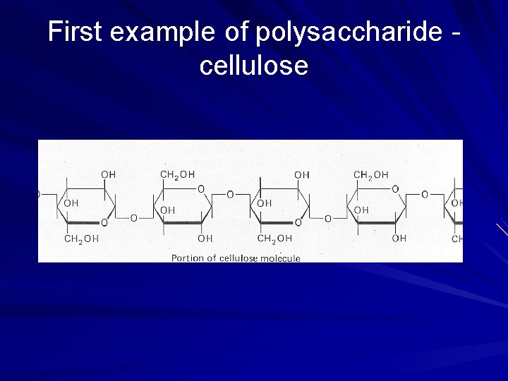 First example of polysaccharide cellulose 