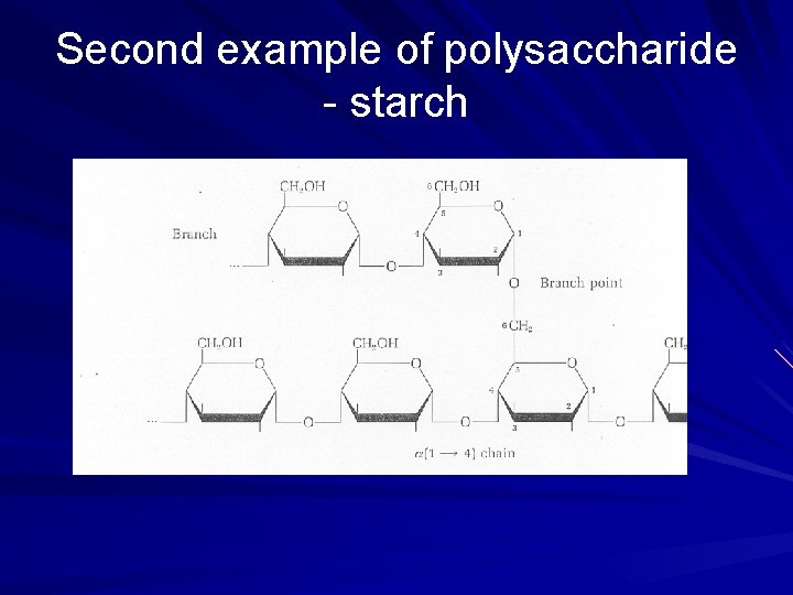 Second example of polysaccharide - starch 
