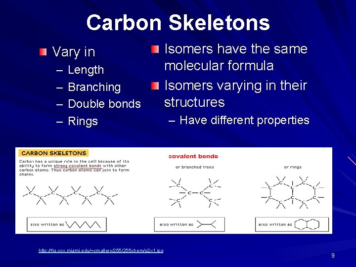 Carbon Skeletons Vary in – – Length Branching Double bonds Rings http: //fig. cox.