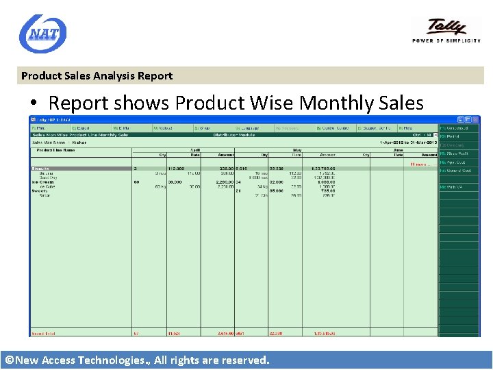 Product Sales Analysis Report • Report shows Product Wise Monthly Sales ©New Access Technologies.