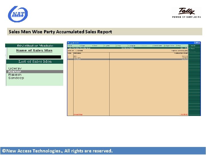 Sales Man Wise Party Accumulated Sales Report ©New Access Technologies. , All rights are