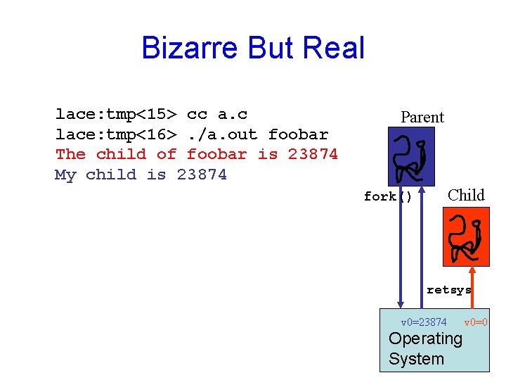 Bizarre But Real lace: tmp<15> cc a. c lace: tmp<16>. /a. out foobar The