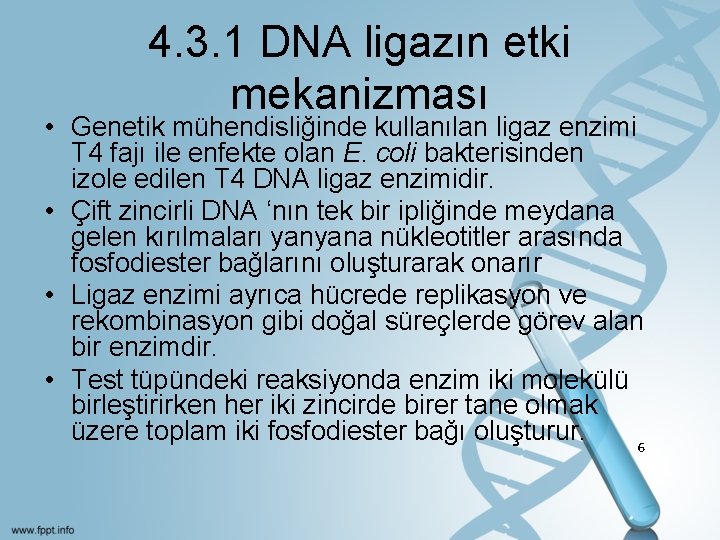 4. 3. 1 DNA ligazın etki mekanizması • Genetik mühendisliğinde kullanılan ligaz enzimi T