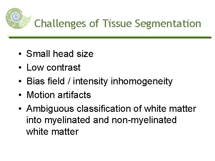 Challenges of Tissue Segmentation • • • Small head size Low contrast Bias field