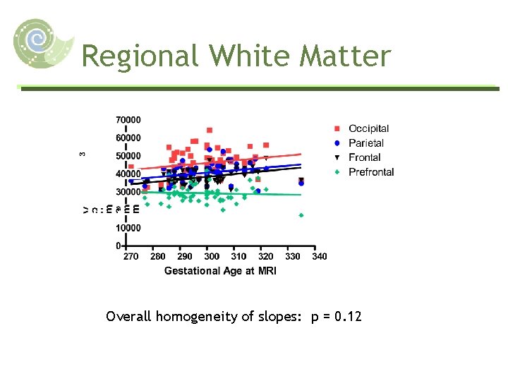 Regional White Matter Overall homogeneity of slopes: p = 0. 12 
